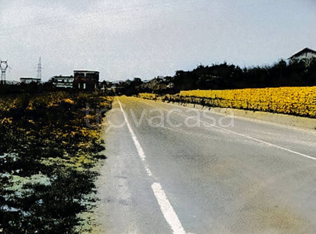 immagine annuncio 1 di 9