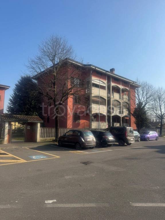 immagine annuncio 10 di 15