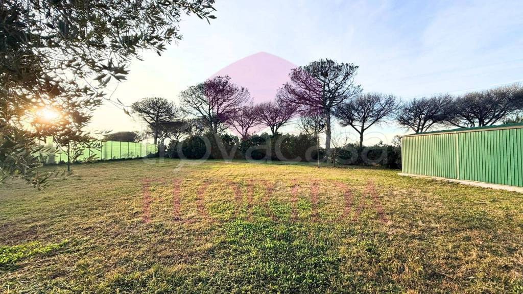 immagine annuncio 5 di 6