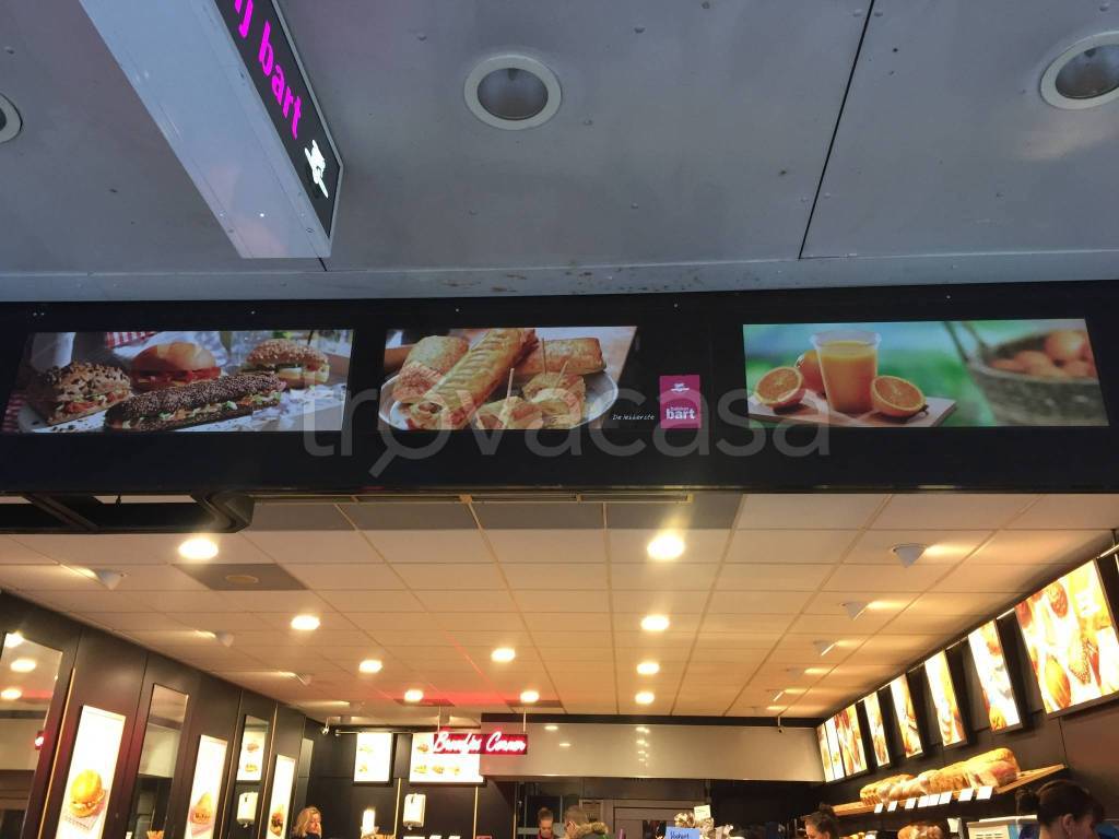 immagine annuncio 8 di 15