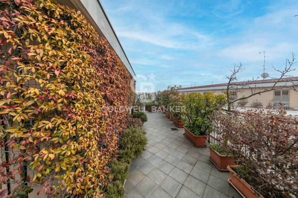 immagine annuncio 4 di 12