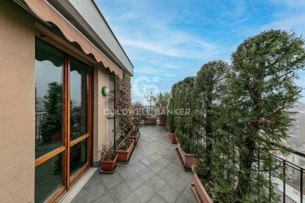 immagine annuncio 9 di 12