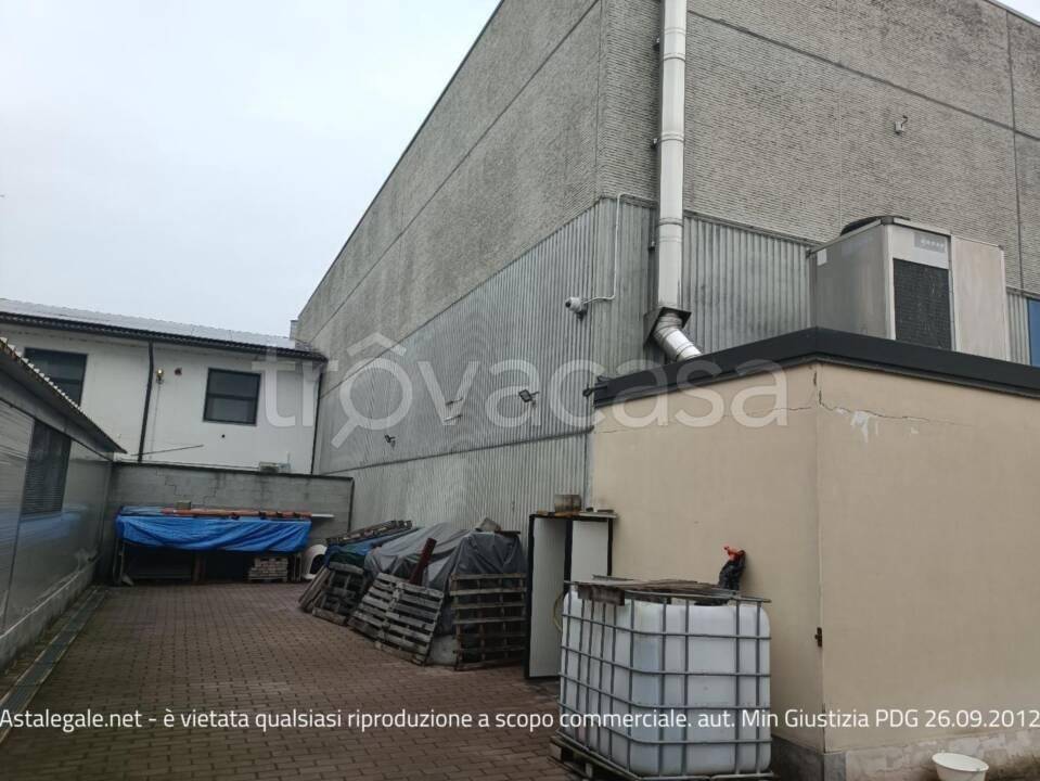 immagine annuncio 6 di 15