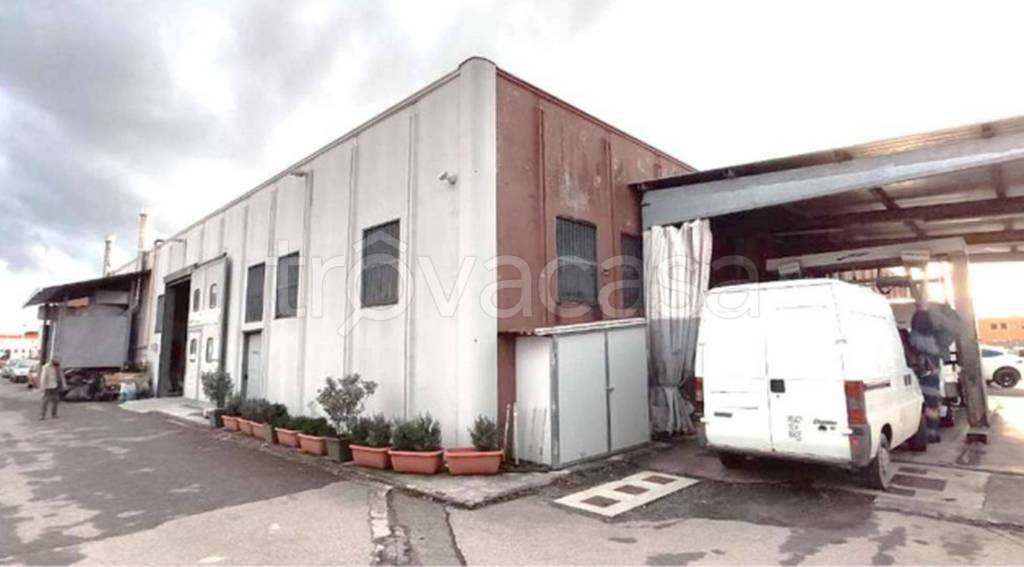 immagine annuncio 3 di 10