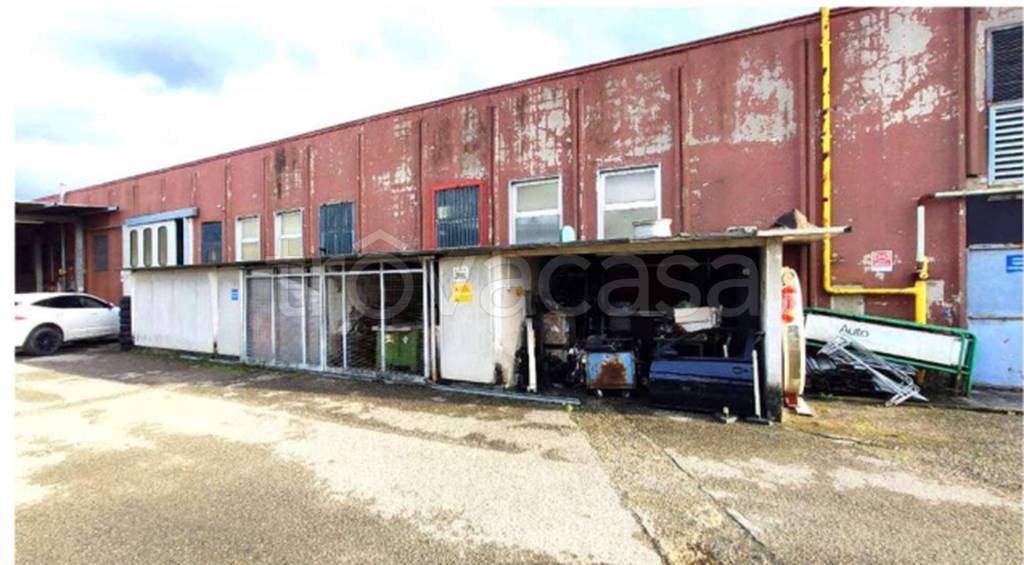 immagine annuncio 6 di 10