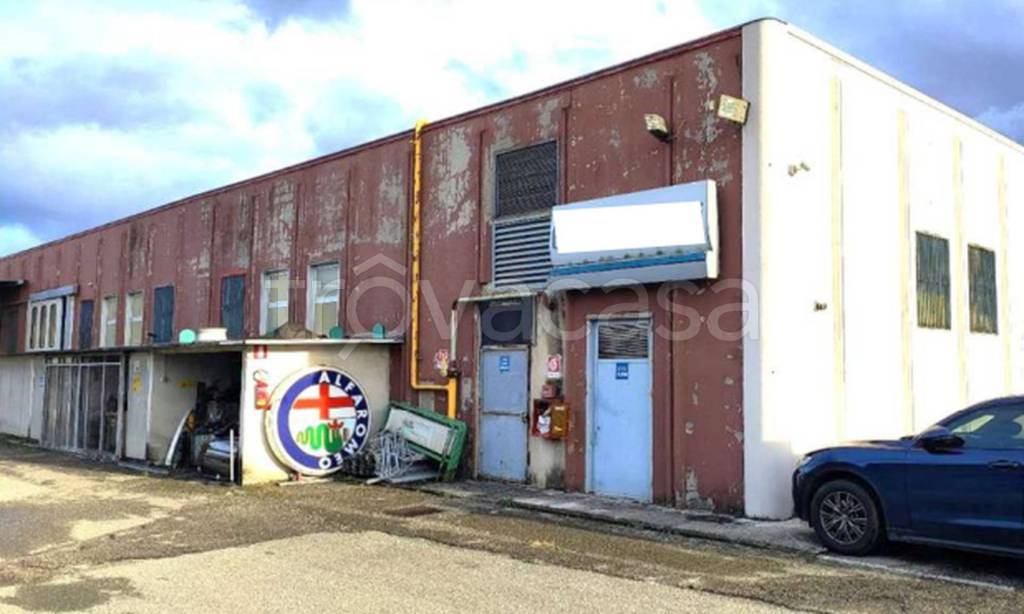 immagine annuncio 7 di 10