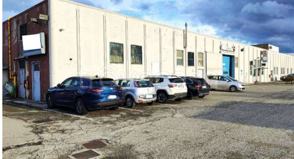 immagine annuncio 9 di 10