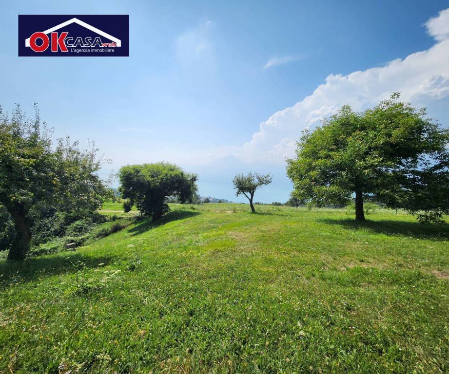 immagine annuncio 10 di 15