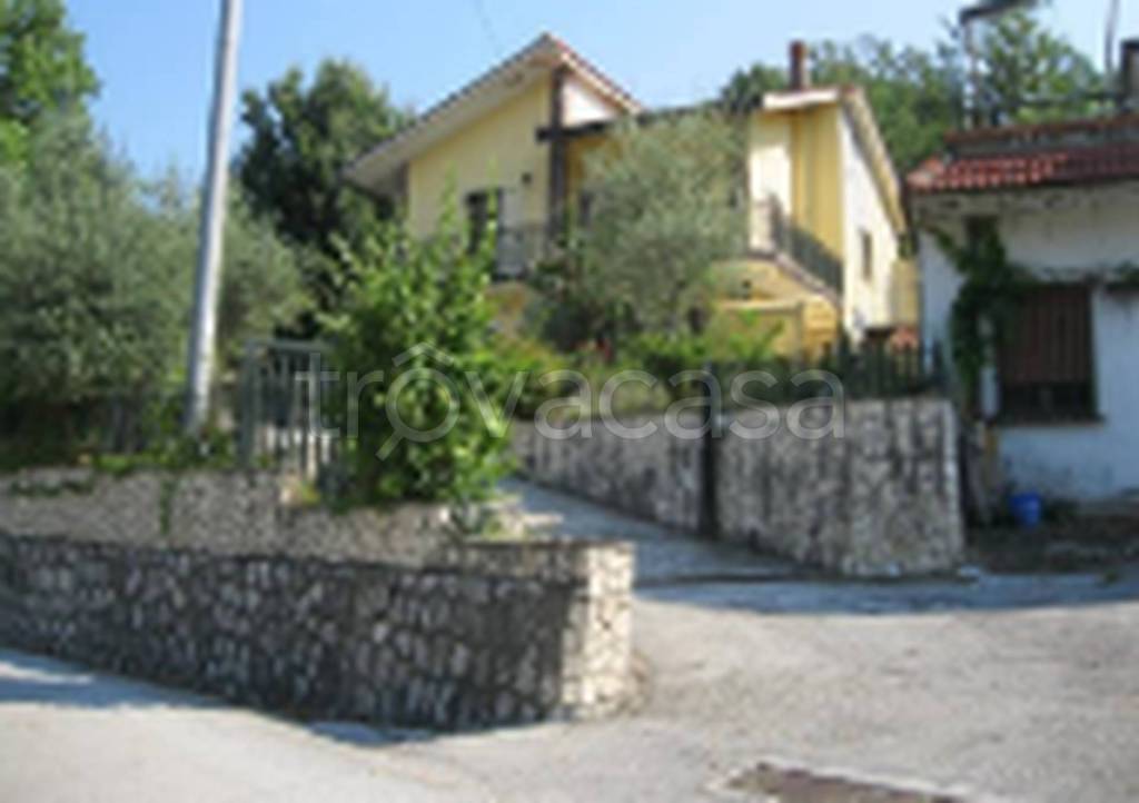 immagine annuncio 2 di 11