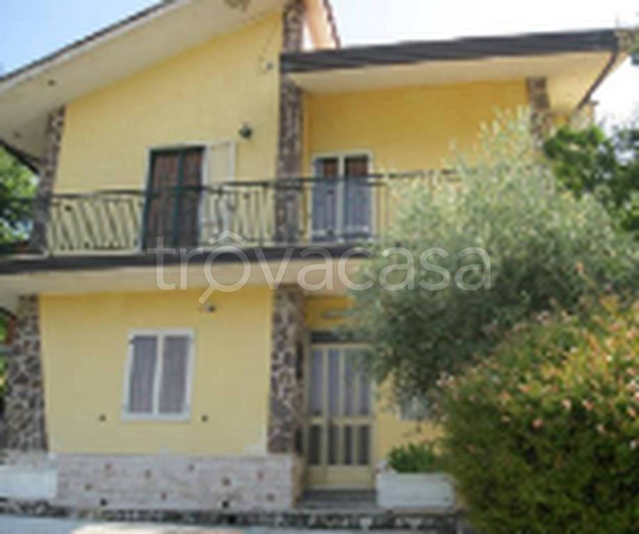 immagine annuncio 5 di 11