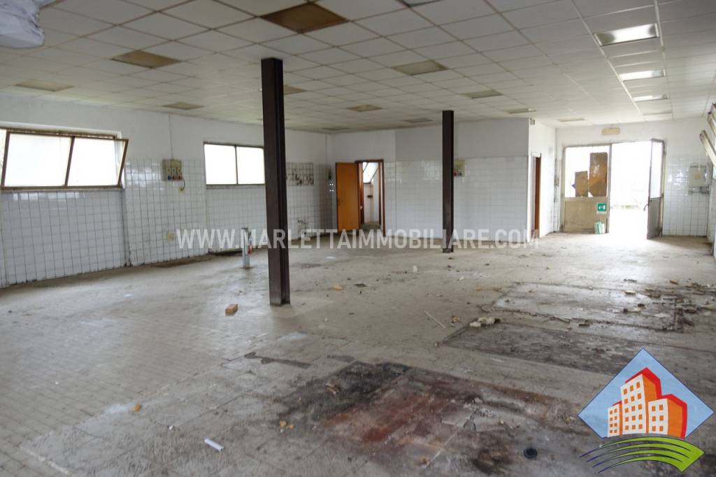 immagine annuncio 10 di 12