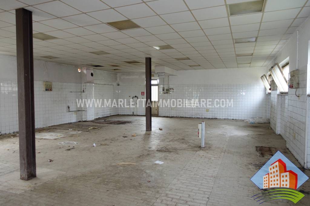 immagine annuncio 8 di 12