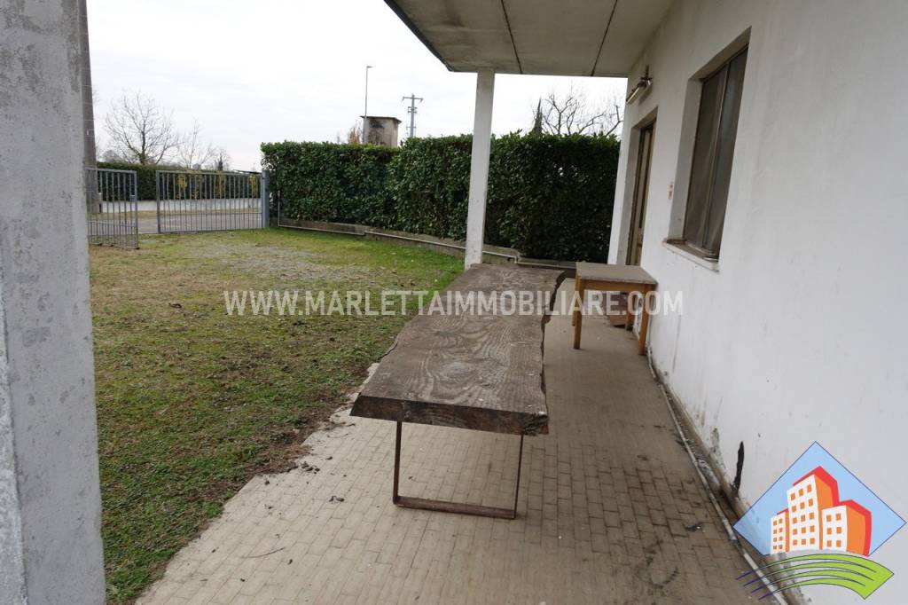 immagine annuncio 3 di 12