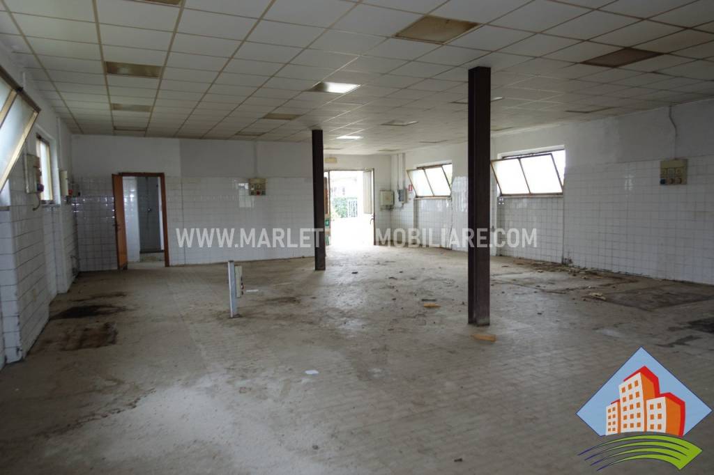 immagine annuncio 11 di 12