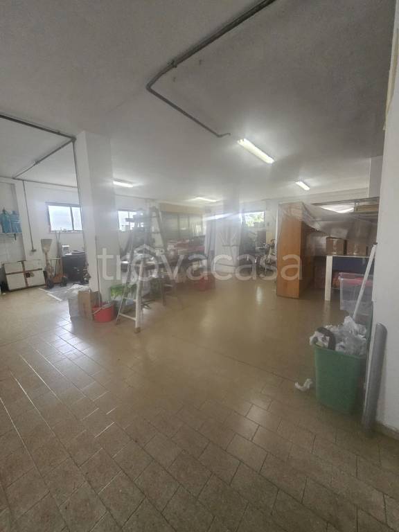 immagine annuncio 3 di 11