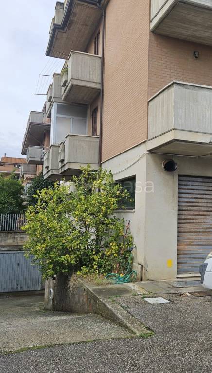 immagine annuncio 9 di 11