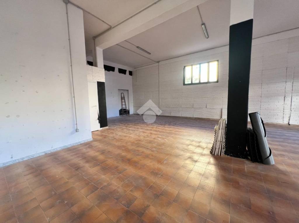 immagine annuncio 5 di 14