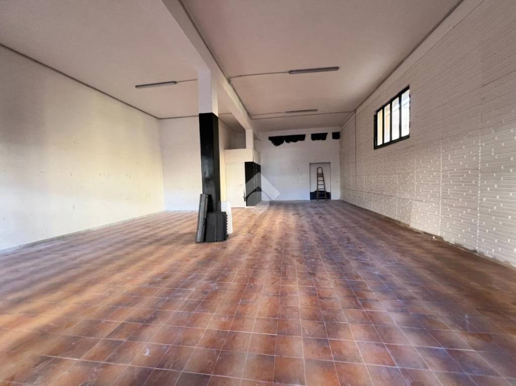 immagine annuncio 6 di 14