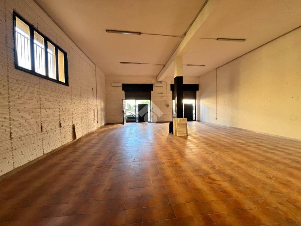 immagine annuncio 10 di 14