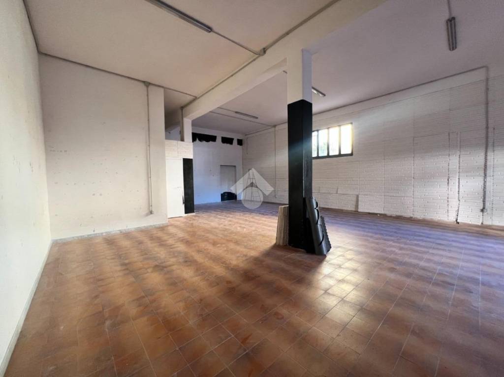 immagine annuncio 12 di 14