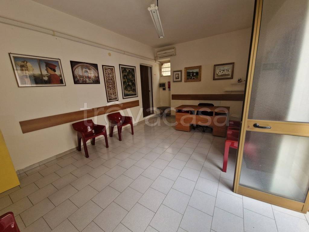 immagine annuncio 2 di 11