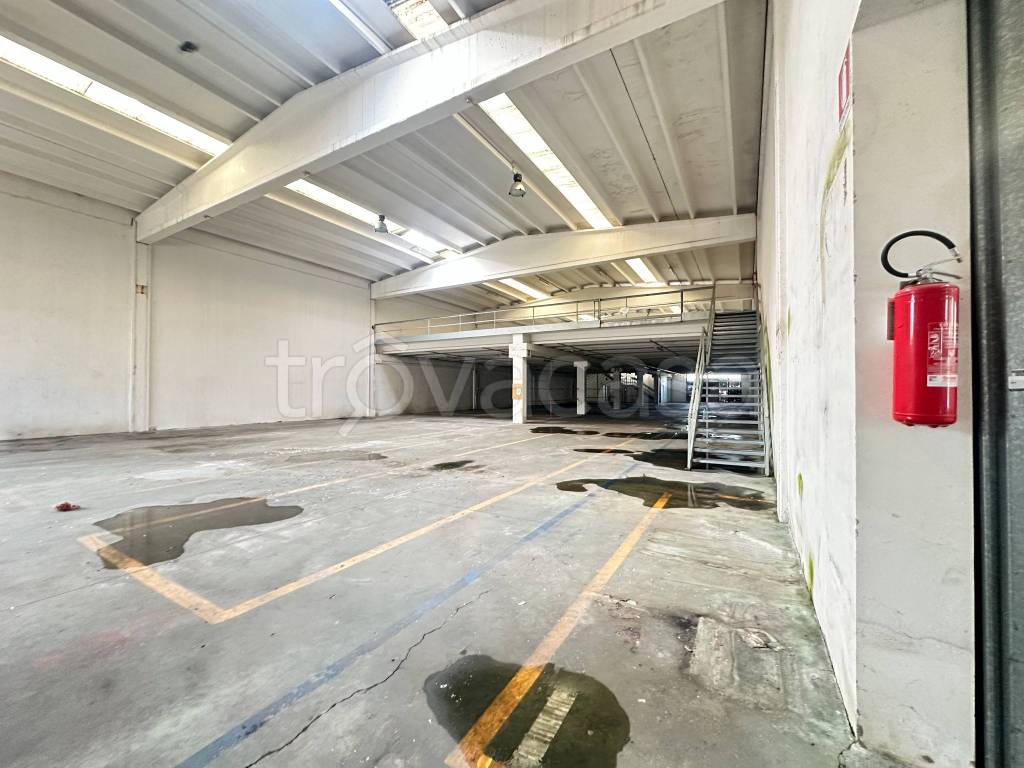 immagine annuncio 4 di 7