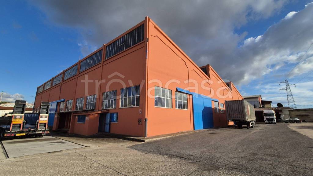 immagine annuncio 14 di 15