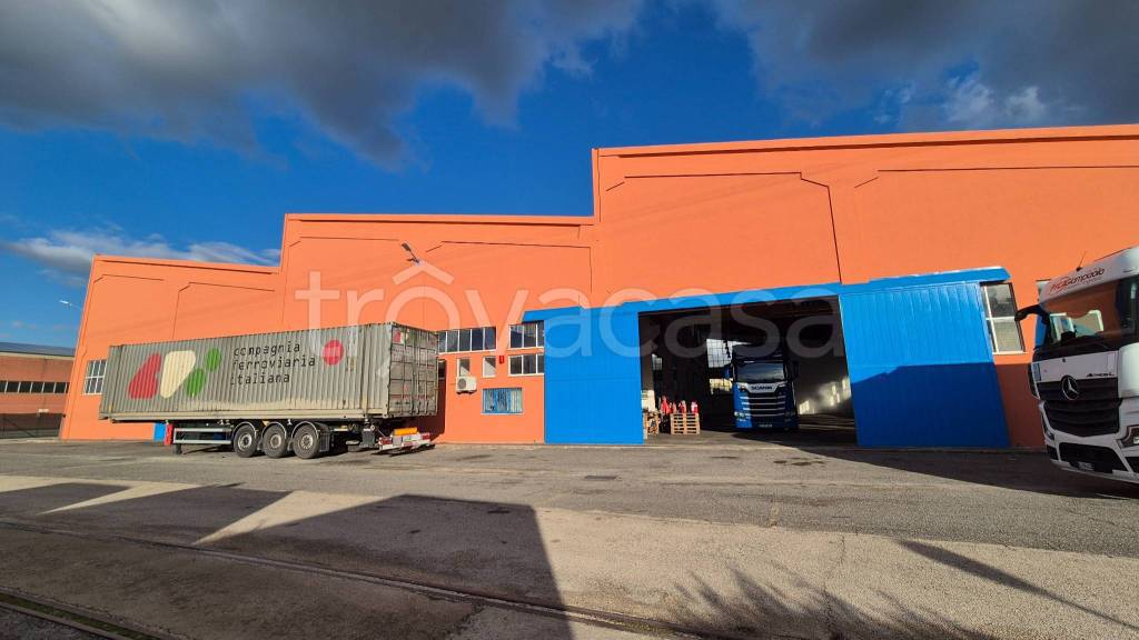 immagine annuncio 10 di 15