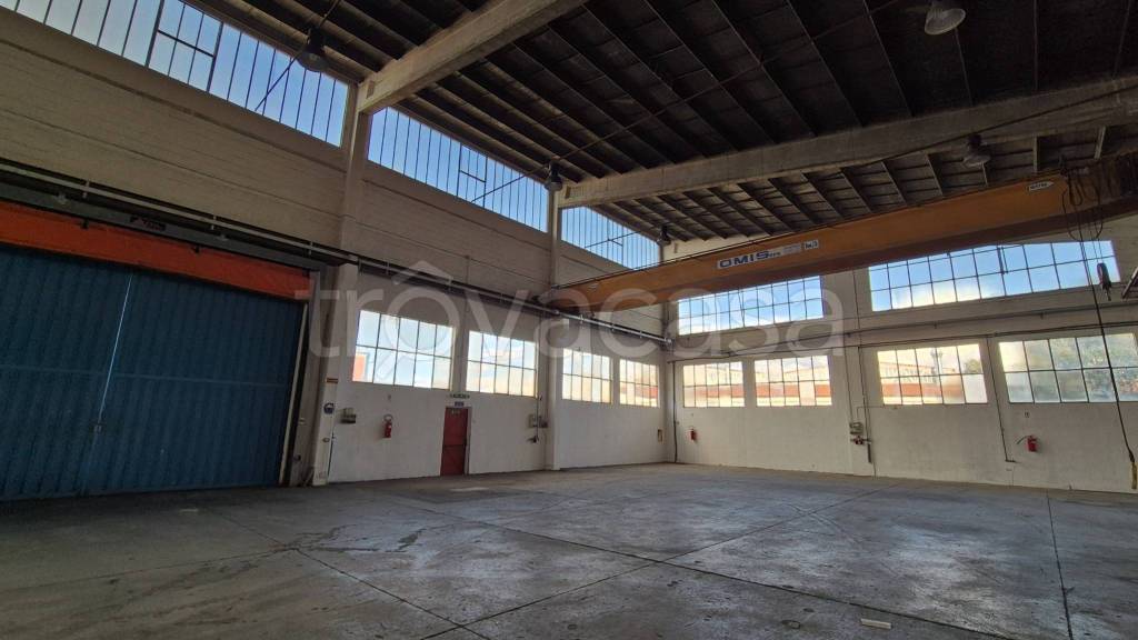 immagine annuncio 13 di 15