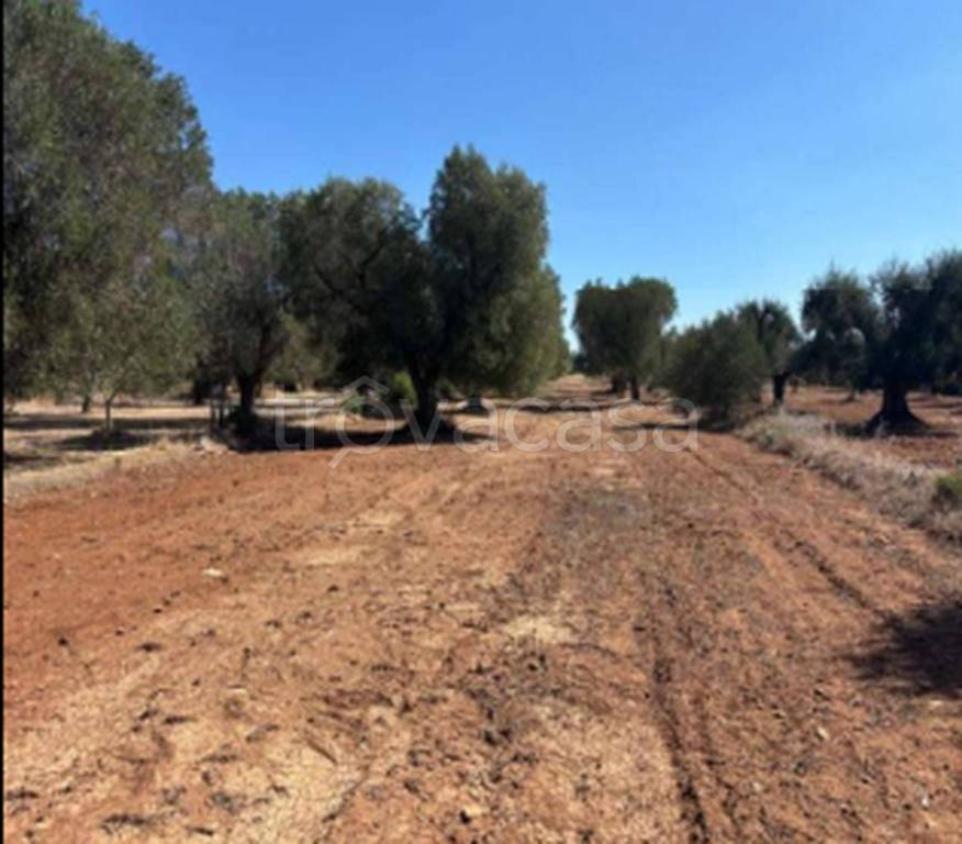 immagine annuncio 6 di 11