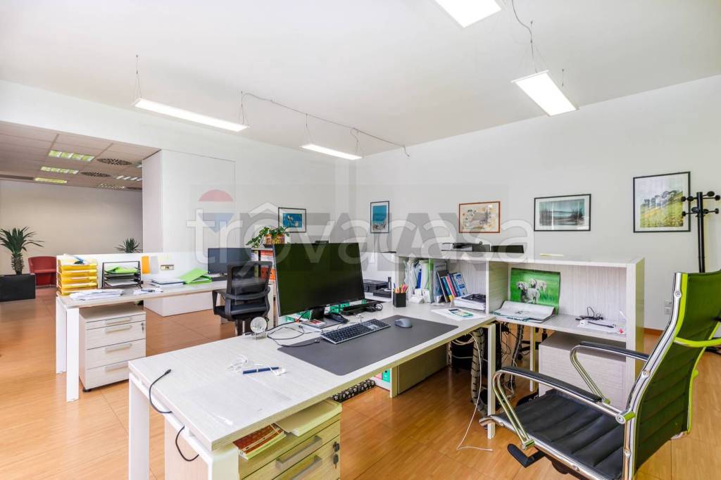 immagine annuncio 3 di 12