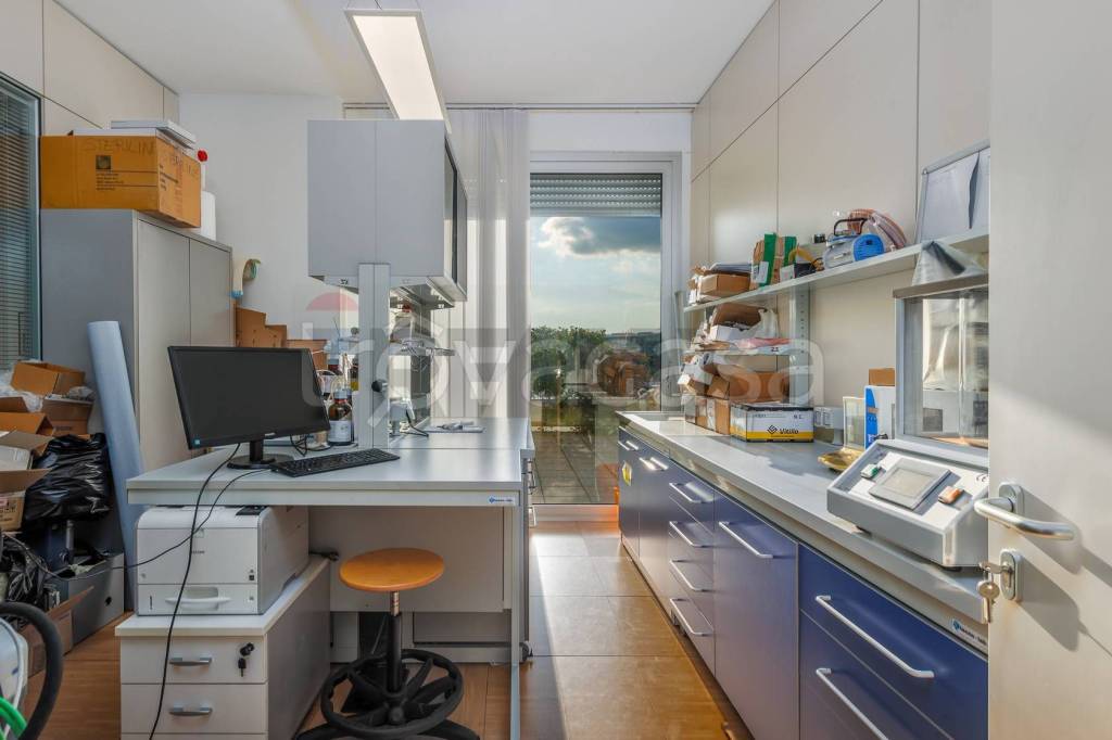 immagine annuncio 6 di 12