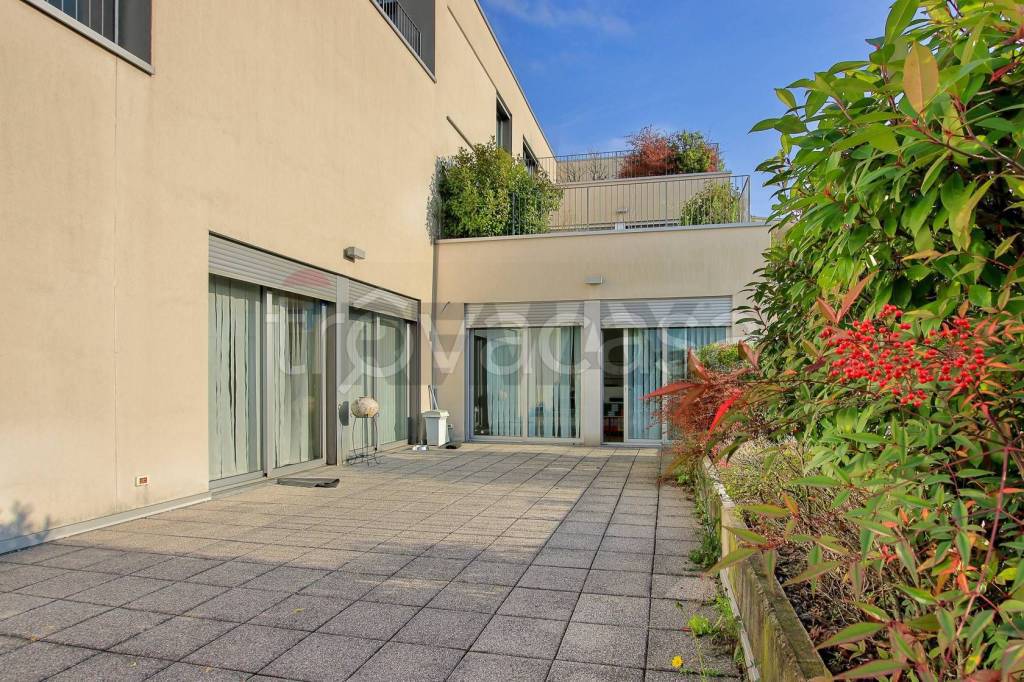 immagine annuncio 9 di 12