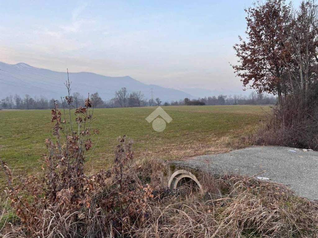 immagine annuncio 4 di 8