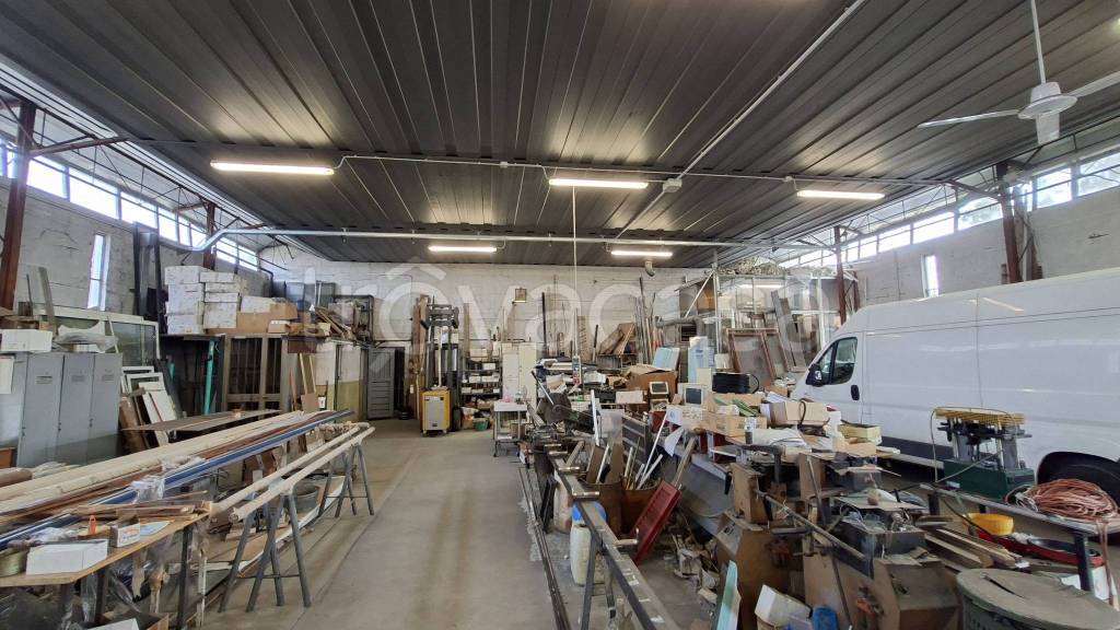 immagine annuncio 10 di 15