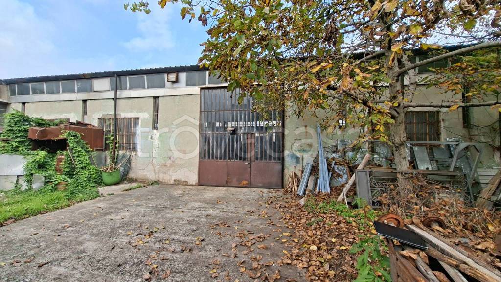 immagine annuncio 6 di 15