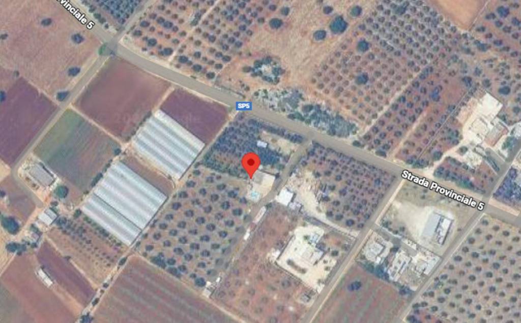 immagine annuncio 3 di 11