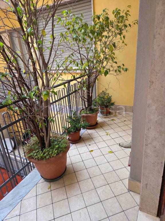 immagine annuncio 5 di 7