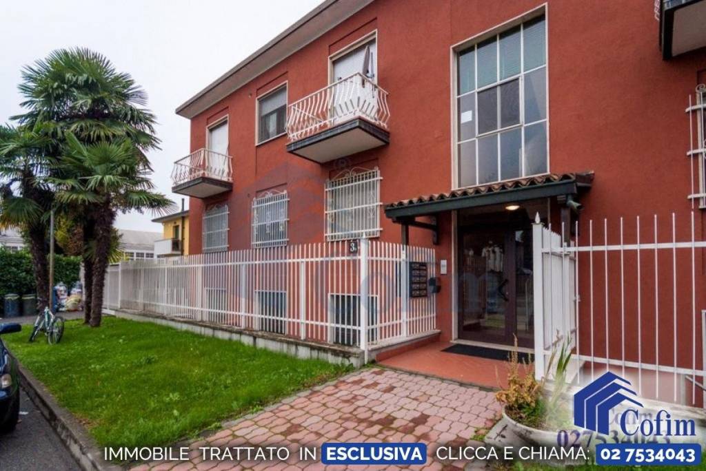 immagine annuncio 11 di 13