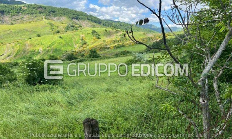 immagine annuncio 2 di 9