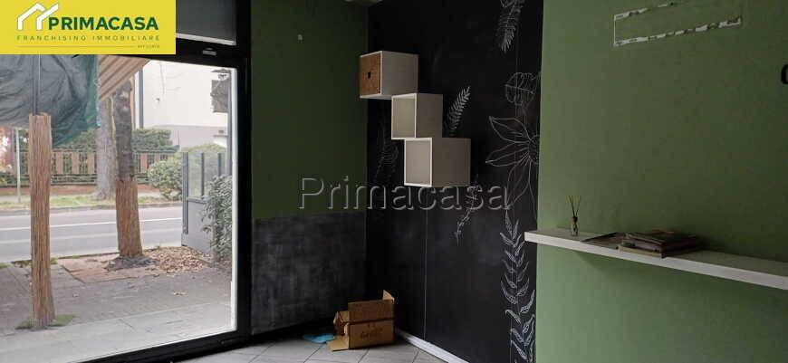 immagine annuncio 2 di 6