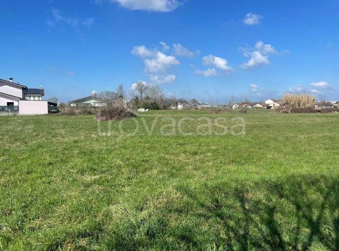 immagine annuncio 5 di 14