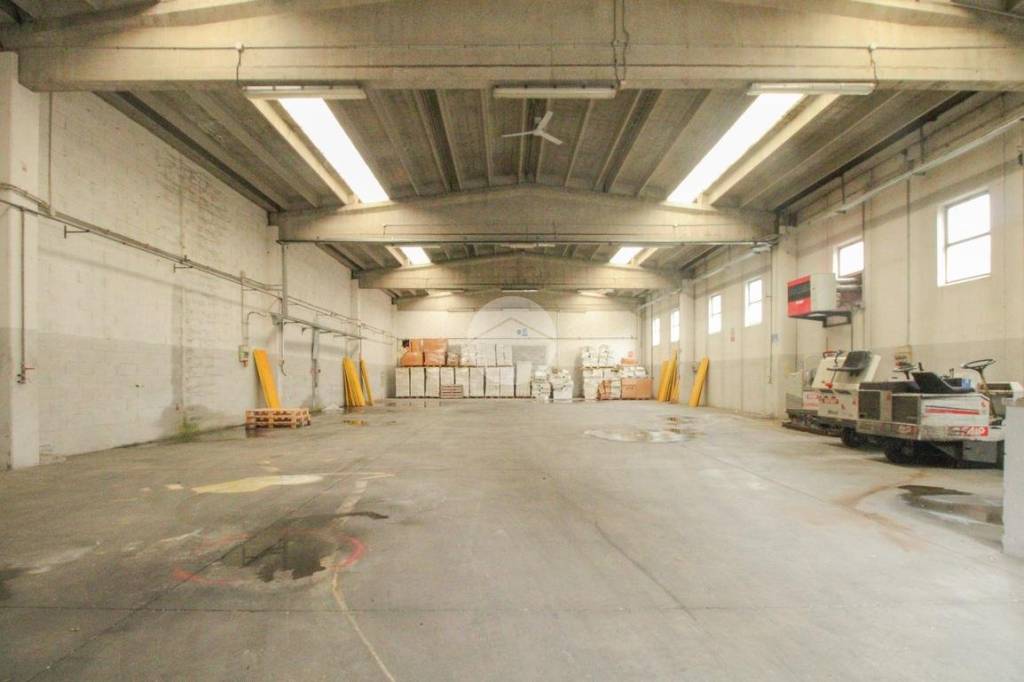 immagine annuncio 6 di 15