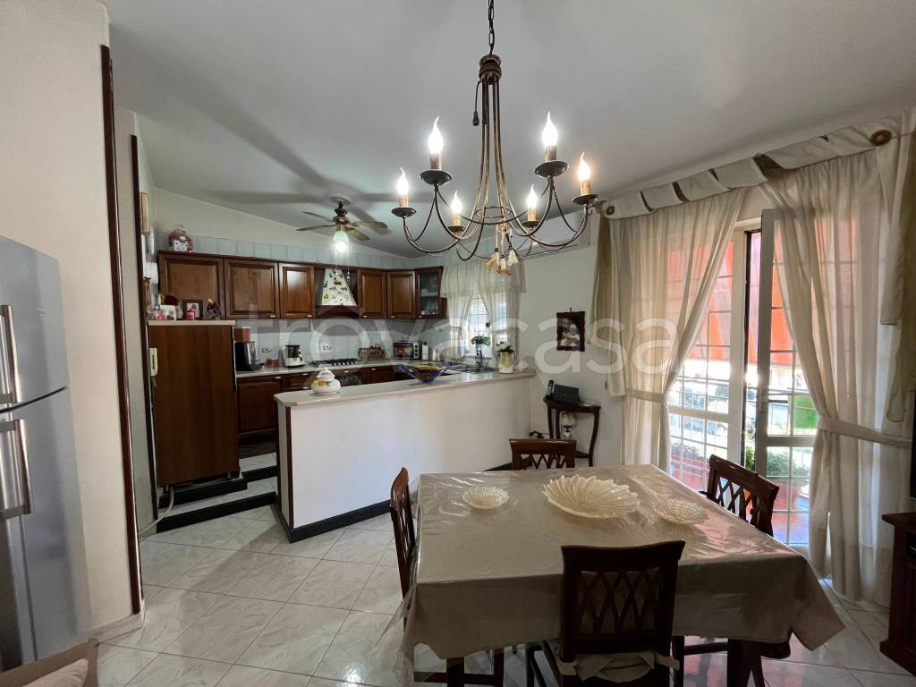 immagine annuncio 1 di 14