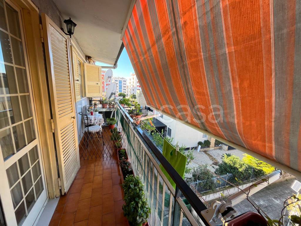 immagine annuncio 13 di 14