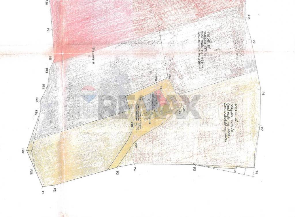 immagine annuncio 5 di 14