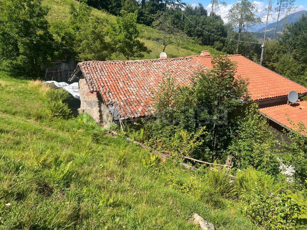 immagine annuncio 10 di 14