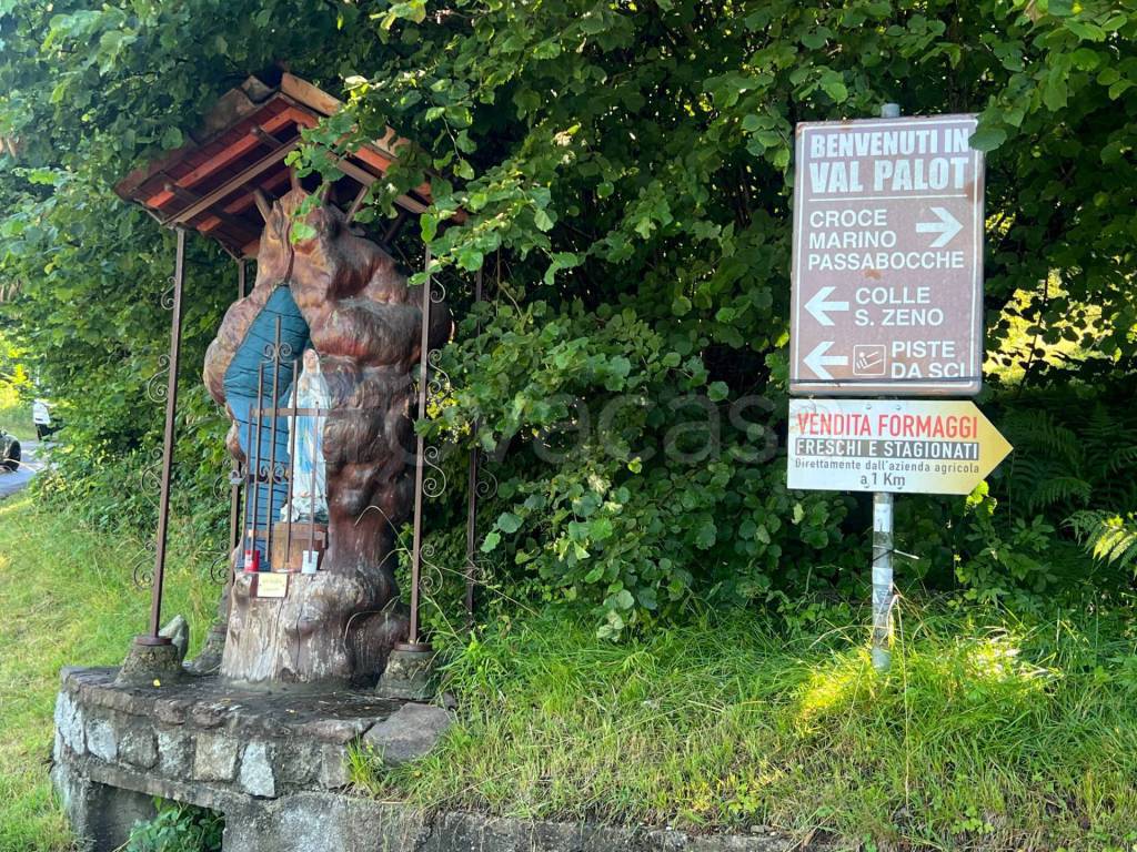 immagine annuncio 11 di 14