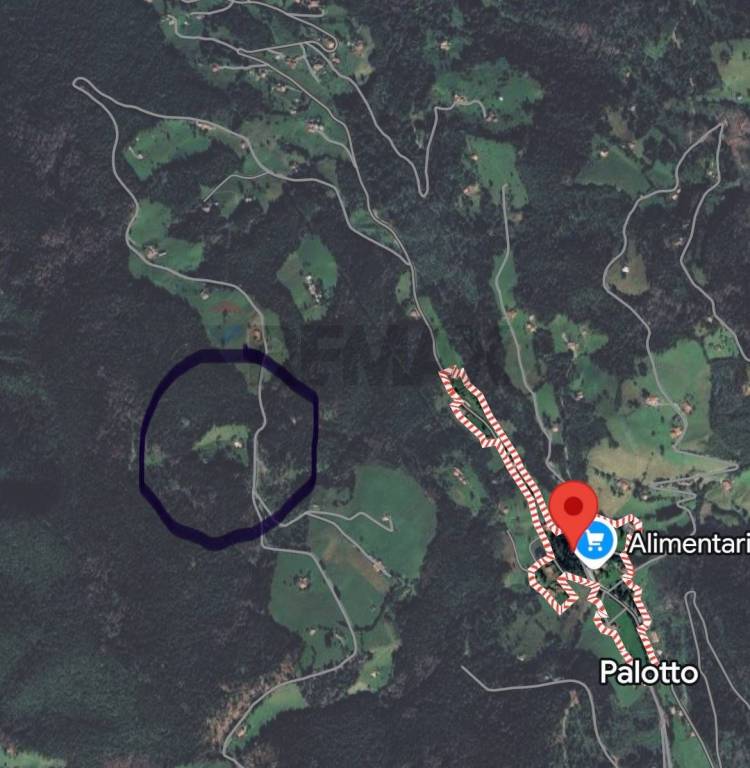 immagine annuncio 13 di 14