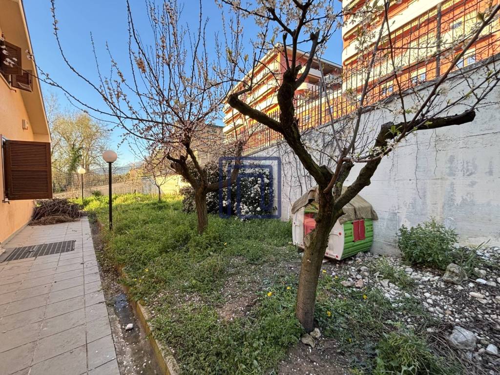 immagine annuncio 2 di 12